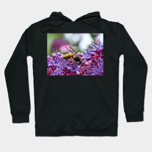 Wasp on a Purple Hydrangea Hoodie